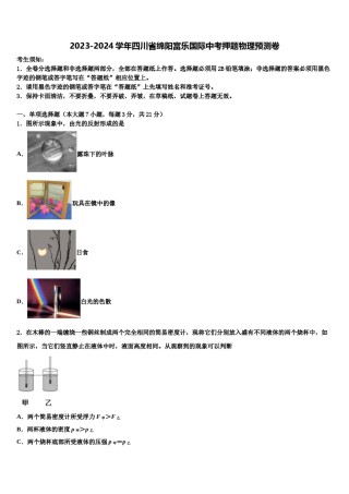 2023-2024学年四川省绵阳富乐国际中考押题物理预测卷含解析.doc