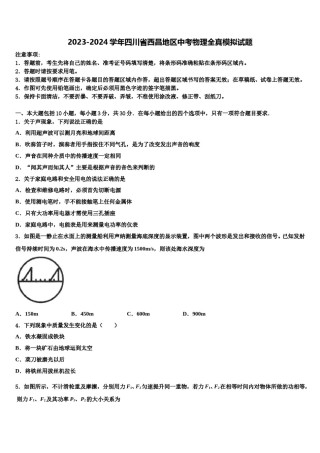 2023-2024学年四川省西昌地区中考物理全真模拟试题含解析.doc