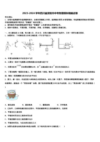 2023-2024学年四川省资阳市中考物理模拟精编试卷含解析.doc