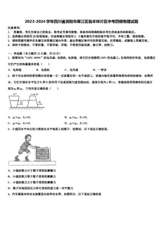 2023-2024学年四川省资阳市雁江区临丰祥片区中考四模物理试题含解析.doc