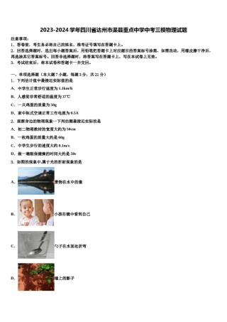 2023-2024学年四川省达州市渠县重点中学中考三模物理试题含解析.doc