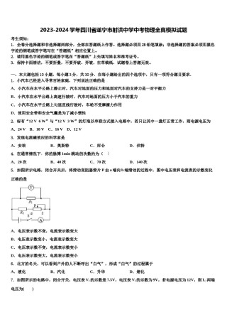 2023-2024学年四川省遂宁市射洪中学中考物理全真模拟试题含解析.doc