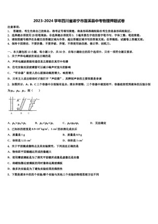 2023-2024学年四川省遂宁市蓬溪县中考物理押题试卷含解析.doc