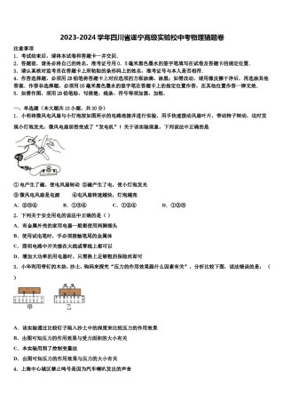 2023-2024学年四川省遂宁高级实验校中考物理猜题卷含解析.doc