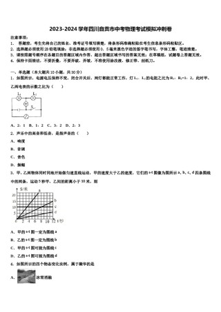 2023-2024学年四川自贡市中考物理考试模拟冲刺卷含解析.doc