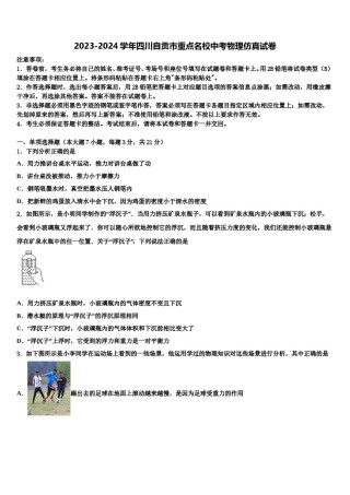 2023-2024学年四川自贡市重点名校中考物理仿真试卷含解析.doc