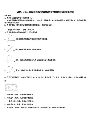2023-2024学年威海市市级名校中考物理对点突破模拟试卷含解析.doc