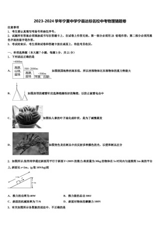 2023-2024学年宁夏中学宁县达标名校中考物理猜题卷含解析.doc