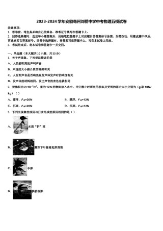 2023-2024学年安徽亳州刘桥中学中考物理五模试卷含解析.doc
