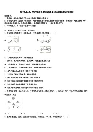 2023-2024学年安徽合肥市市级名校中考联考物理试题含解析.doc