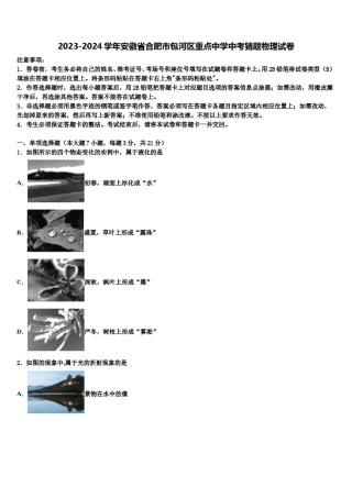 2023-2024学年安徽省合肥市包河区重点中学中考猜题物理试卷含解析.doc