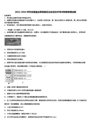 2023-2024学年安徽省合肥高新区达标名校中考冲刺卷物理试题含解析.doc