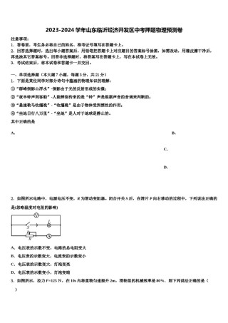 2023-2024学年山东临沂经济开发区中考押题物理预测卷含解析.doc
