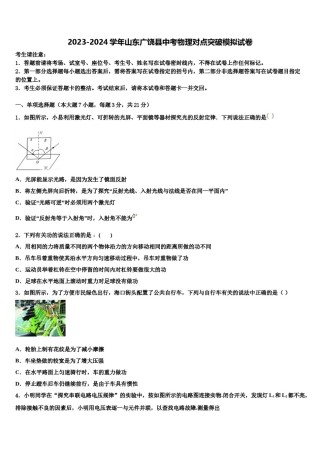2023-2024学年山东广饶县中考物理对点突破模拟试卷含解析.doc