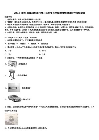 2023-2024学年山东德州经开区抬头寺中学中考物理适应性模拟试题含解析.doc