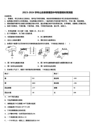 2023-2024学年山东新泰莆田中考物理模拟预测题含解析.doc