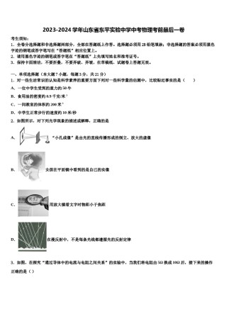 2023-2024学年山东省东平实验中学中考物理考前最后一卷含解析.doc