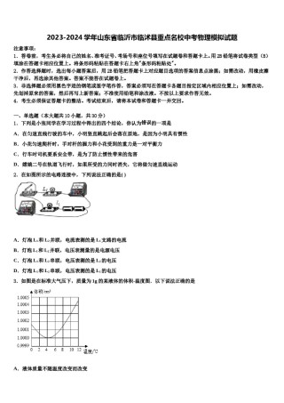 2023-2024学年山东省临沂市临沭县重点名校中考物理模拟试题含解析.doc
