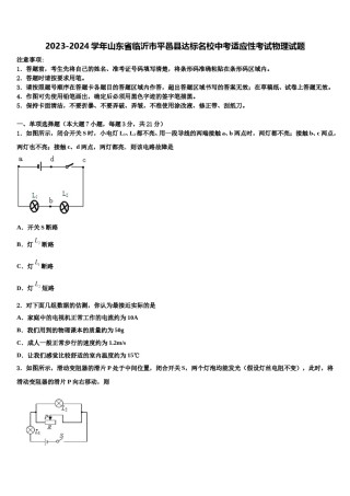 2023-2024学年山东省临沂市平邑县达标名校中考适应性考试物理试题含解析.doc