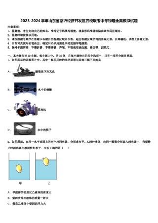 2023-2024学年山东省临沂经济开发区四校联考中考物理全真模拟试题含解析.doc