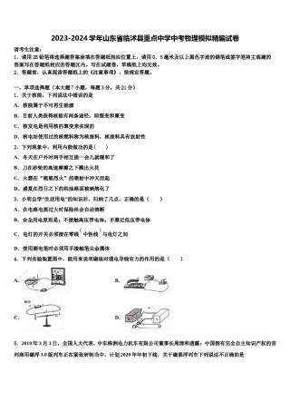 2023-2024学年山东省临沭县重点中学中考物理模拟精编试卷含解析.doc
