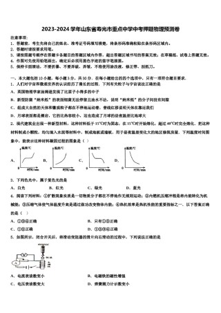 2023-2024学年山东省寿光市重点中学中考押题物理预测卷含解析.doc
