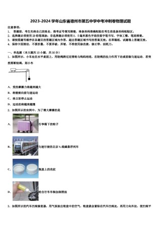 2023-2024学年山东省德州市第五中学中考冲刺卷物理试题含解析.doc