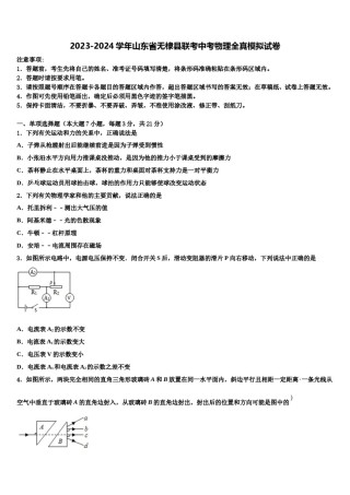 2023-2024学年山东省无棣县联考中考物理全真模拟试卷含解析.doc
