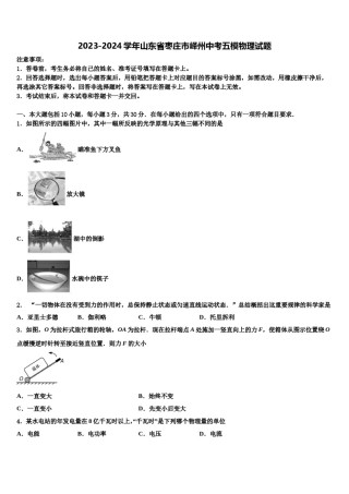 2023-2024学年山东省枣庄市峄州中考五模物理试题含解析.doc