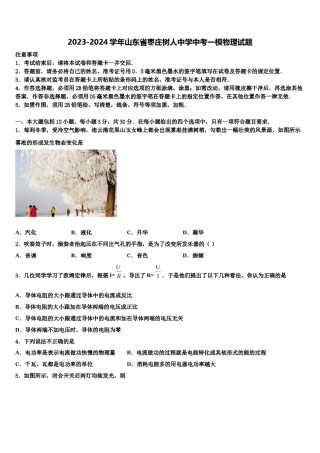 2023-2024学年山东省枣庄树人中学中考一模物理试题含解析.doc