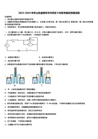 2023-2024学年山东省泰安市岱岳区十校联考最后物理试题含解析.doc