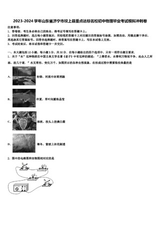 2023-2024学年山东省济宁市坟上县重点达标名校初中物理毕业考试模拟冲刺卷含解析.doc