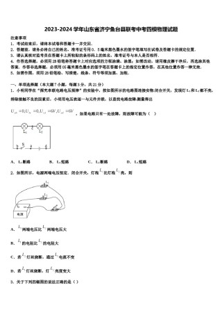 2023-2024学年山东省济宁鱼台县联考中考四模物理试题含解析.doc
