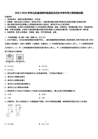 2023-2024学年山东省淄博市临淄区边河乡中学中考三模物理试题含解析.doc