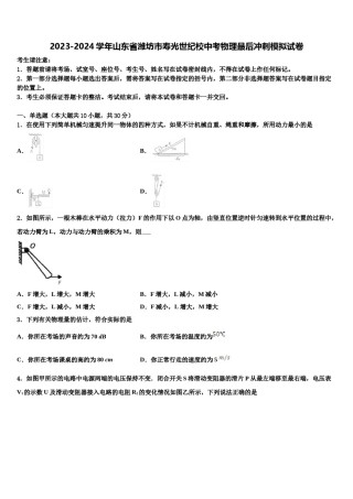 2023-2024学年山东省潍坊市寿光世纪校中考物理最后冲刺模拟试卷含解析.doc