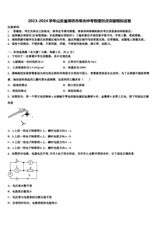 2023-2024学年山东省潍坊市寿光中考物理对点突破模拟试卷含解析.doc