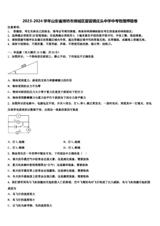 2023-2024学年山东省潍坊市潍城区望留镇庄头中学中考物理押题卷含解析.doc