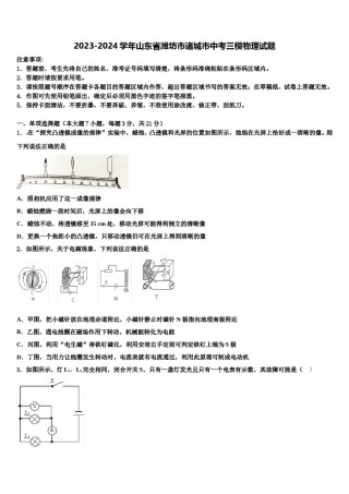 2023-2024学年山东省潍坊市诸城市中考三模物理试题含解析.doc