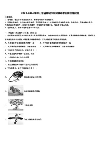 2023-2024学年山东省聊城市东阿县中考五模物理试题含解析.doc