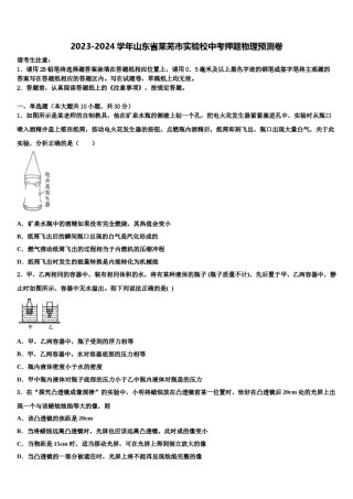 2023-2024学年山东省莱芜市实验校中考押题物理预测卷含解析.doc