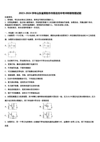 2023-2024学年山东省莱阳市市级名校中考冲刺卷物理试题含解析.doc