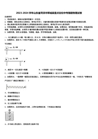 2023-2024学年山东省菏泽市郓城县重点名校中考猜题物理试卷含解析.doc