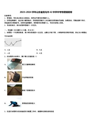 2023-2024学年山东省青岛市42中学中考物理猜题卷含解析.doc