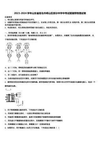 2023-2024学年山东省青岛市崂山区部分中学中考试题猜想物理试卷含解析.doc