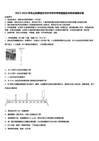 2023-2024学年山东聊城市文轩中学中考物理最后冲刺浓缩精华卷含解析.doc