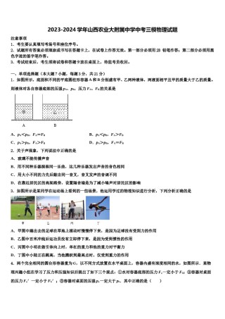2023-2024学年山西农业大附属中学中考三模物理试题含解析.doc