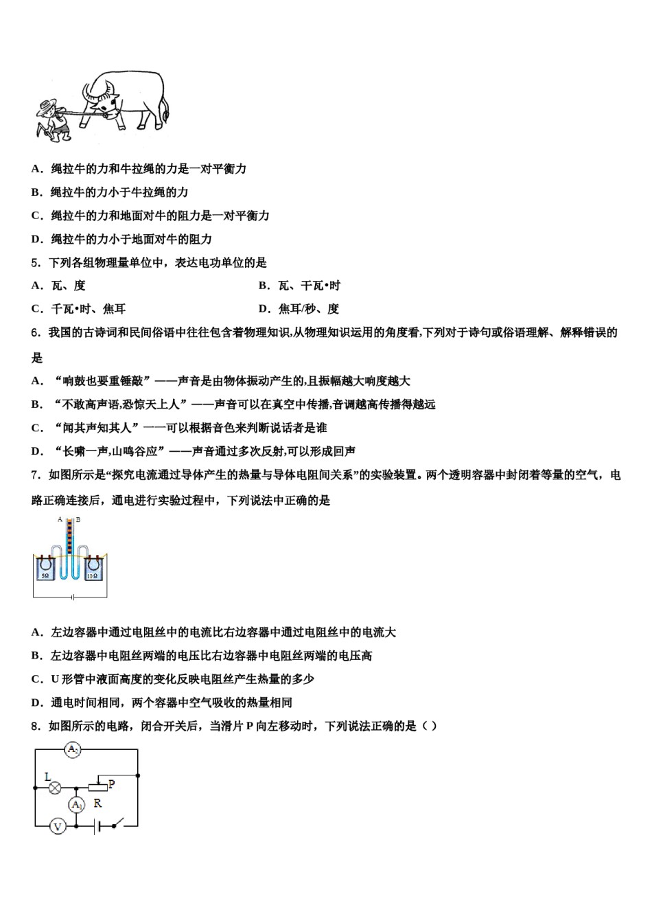 2023-2024学年广东省广州市育才实验中学中考三模物理试题含解析.doc_第2页