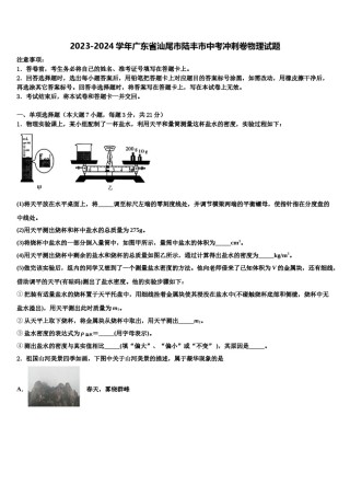 2023-2024学年广东省汕尾市陆丰市中考冲刺卷物理试题含解析.doc