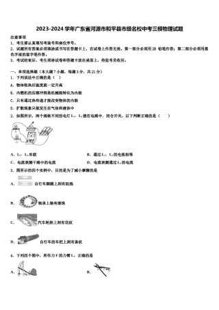 2023-2024学年广东省河源市和平县市级名校中考三模物理试题含解析.doc