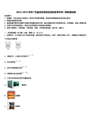 2023-2024学年广东省深圳宝安区四校联考中考一模物理试题含解析.doc